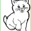 desain kaos kucing sketch
 Hub. 081222555598